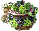 Colorburst Landscape & Design