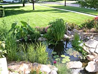 Water Features