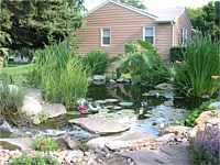 Water Features