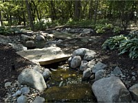 Water Features